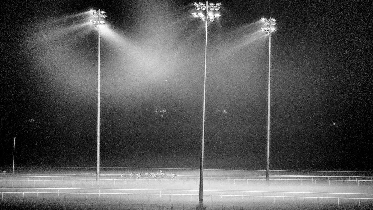 Justo antes de morir, a veces vemos fantasmas, pero en lugar de miedo, traen felicidad