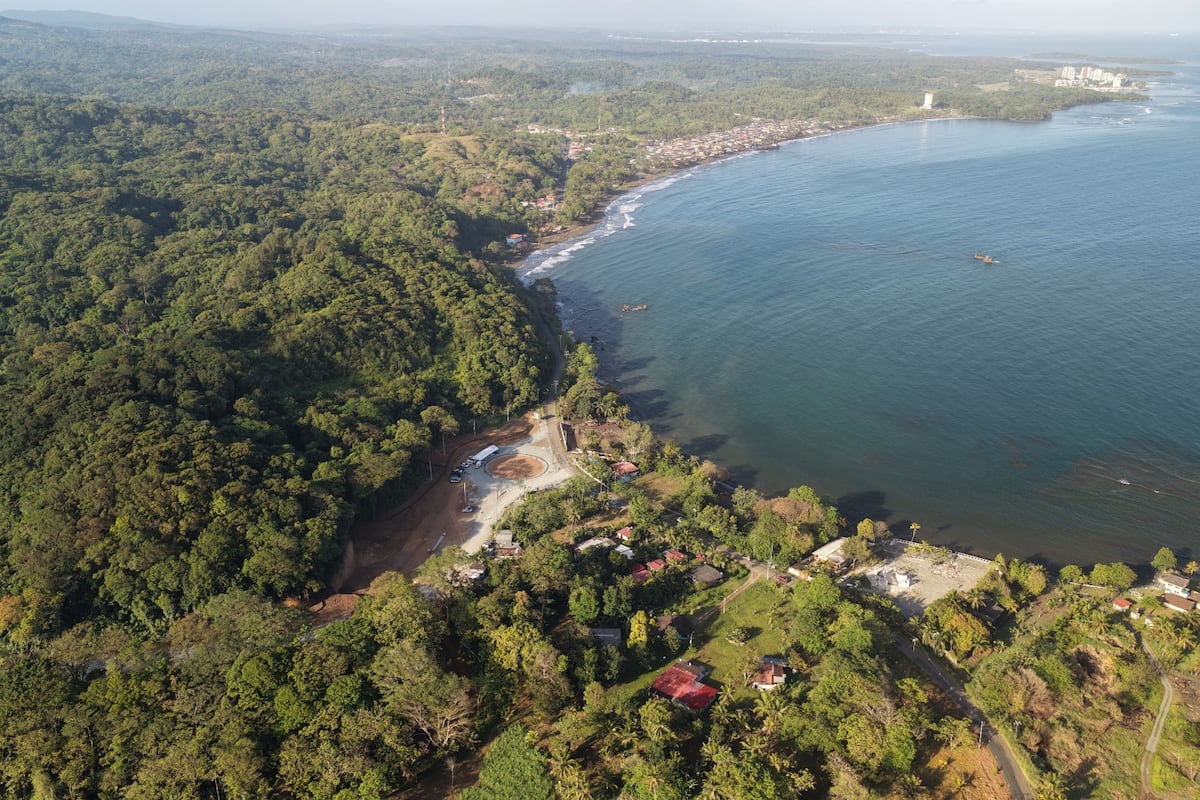 Panamá lanza su primera carretera ecológica con pasos para jaguares y monos