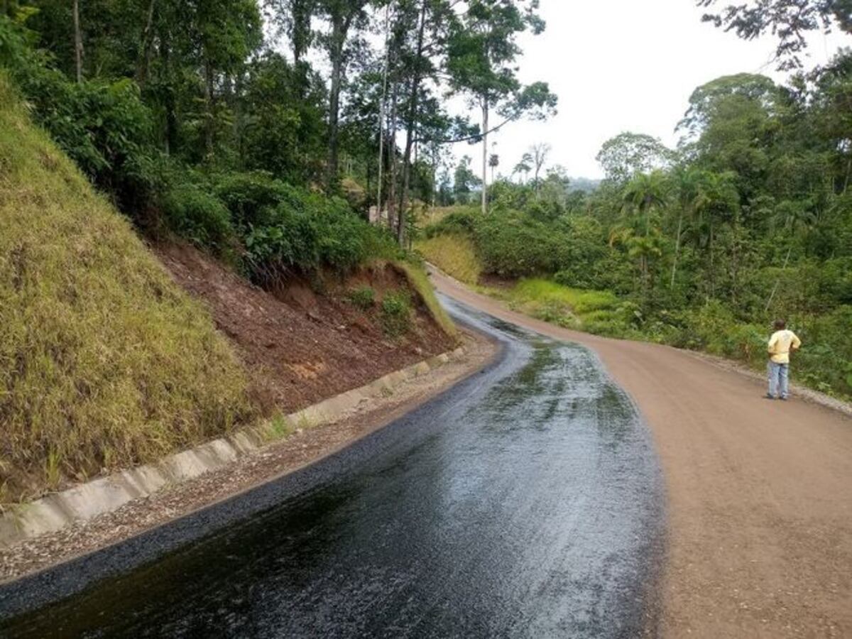 Alarma.Mueren extrañamente 4 miembros de una familia con fiebre.Investigan causa