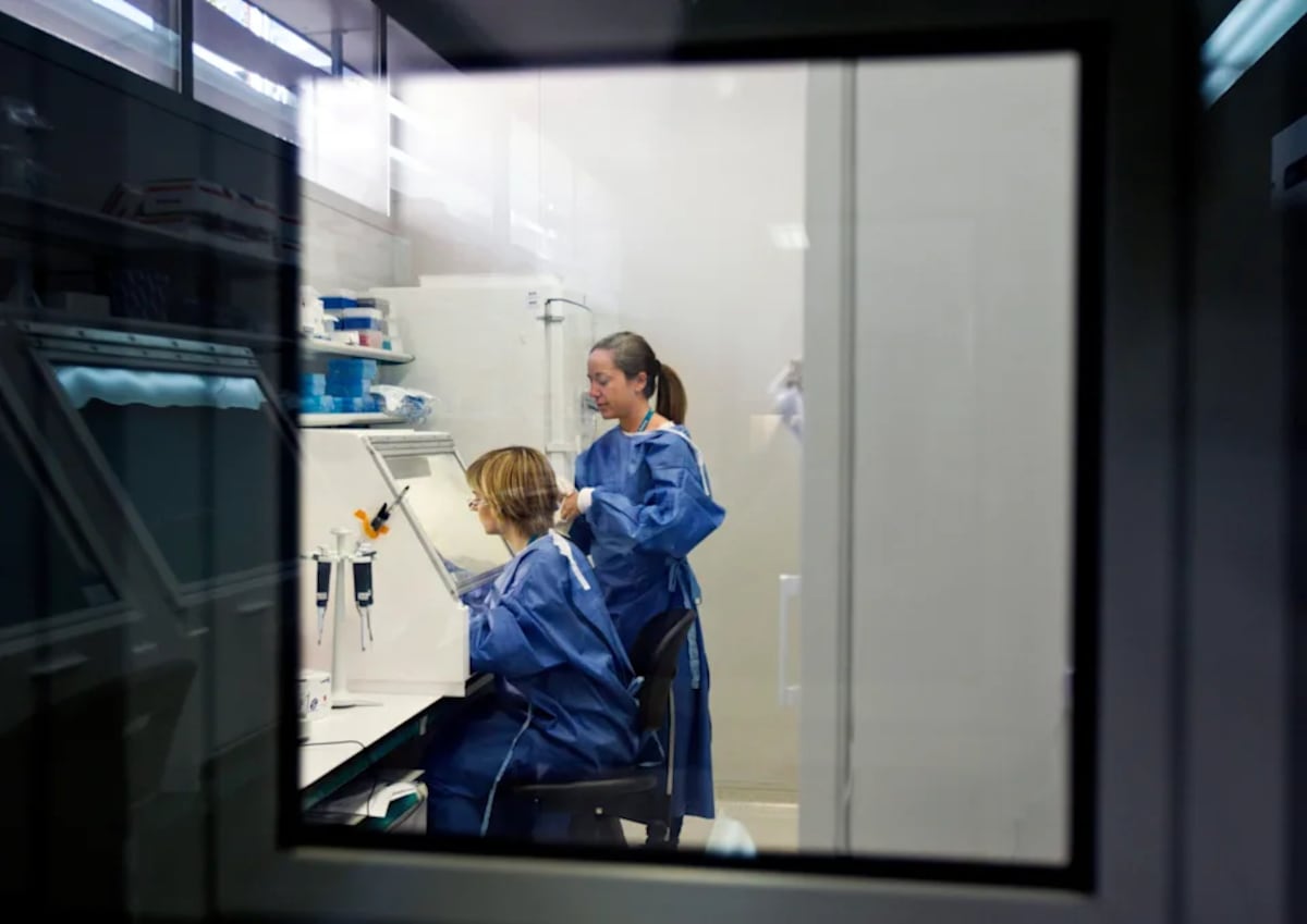 ¿Por qué se lograron en meses las vacunas covid-19 y aún no hay una para el VIH?