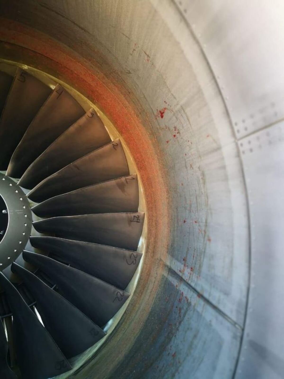 Copa Airlines explica lo ocurrido con emergencia de avión. Esto fue lo que pasó