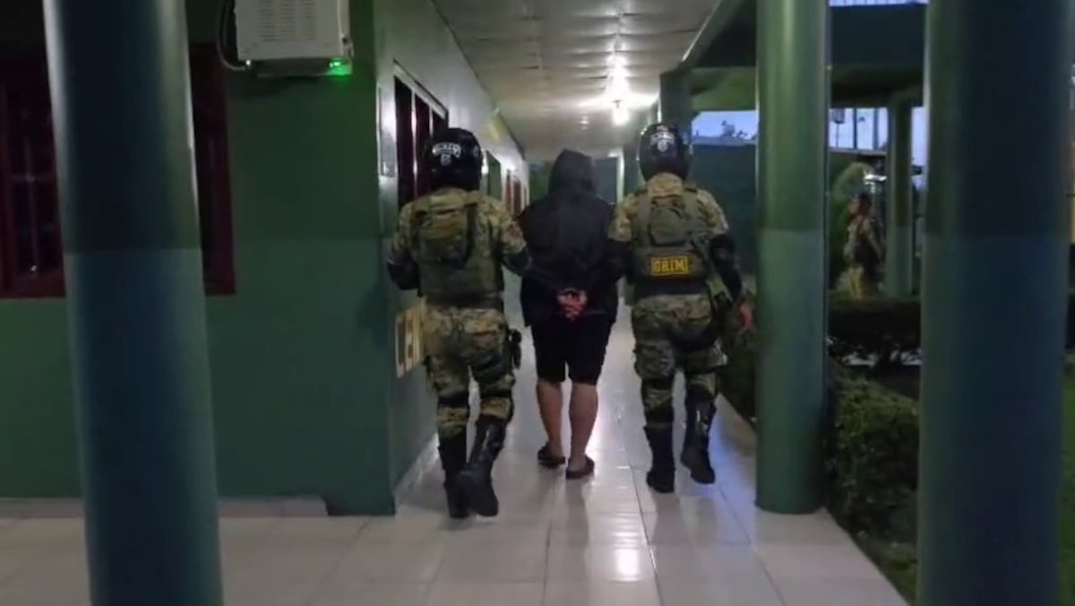 Cigarrillos ilegales al descubierto: operativo decomisa fuerte cargamento en frontera + VÍDEO