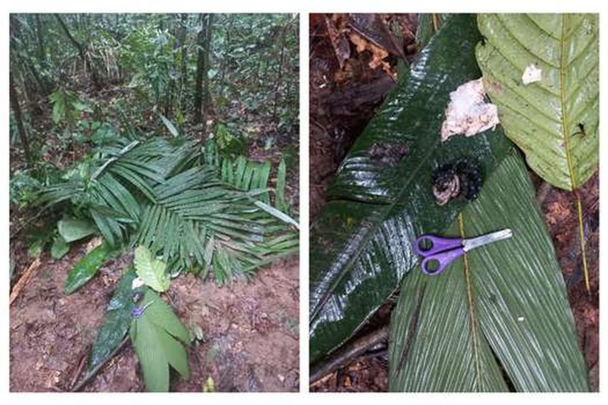 Encuentran vivos a 4 niños que desaparecieron en accidente aéreo en Colombia hace 17 días
