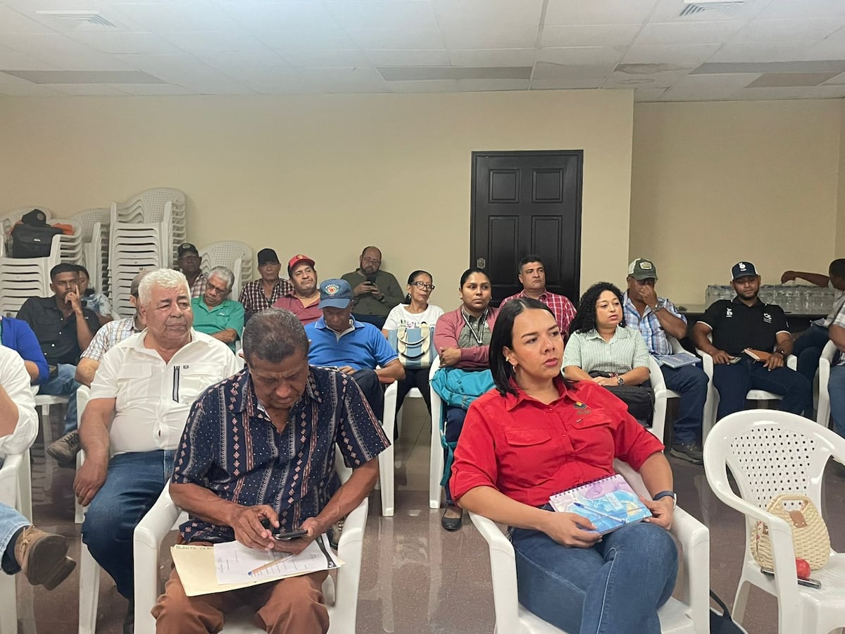 Productores de cebolla de Coclé presentan expectativas de cosecha para el ciclo agrícola