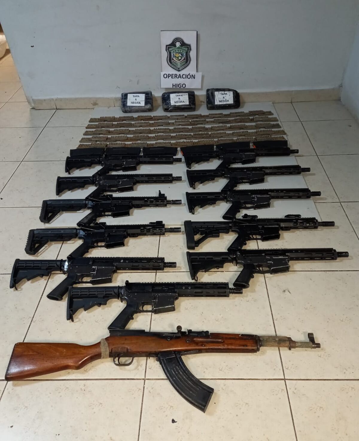 Mujer es detenida por tener 12 escopetas en su casa