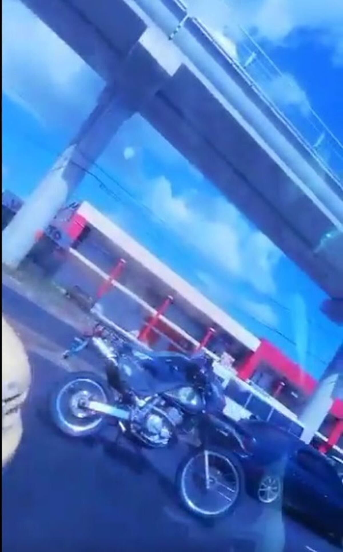 Lince de la Policía muere en vísperas de Navidad tras colisión con un camión