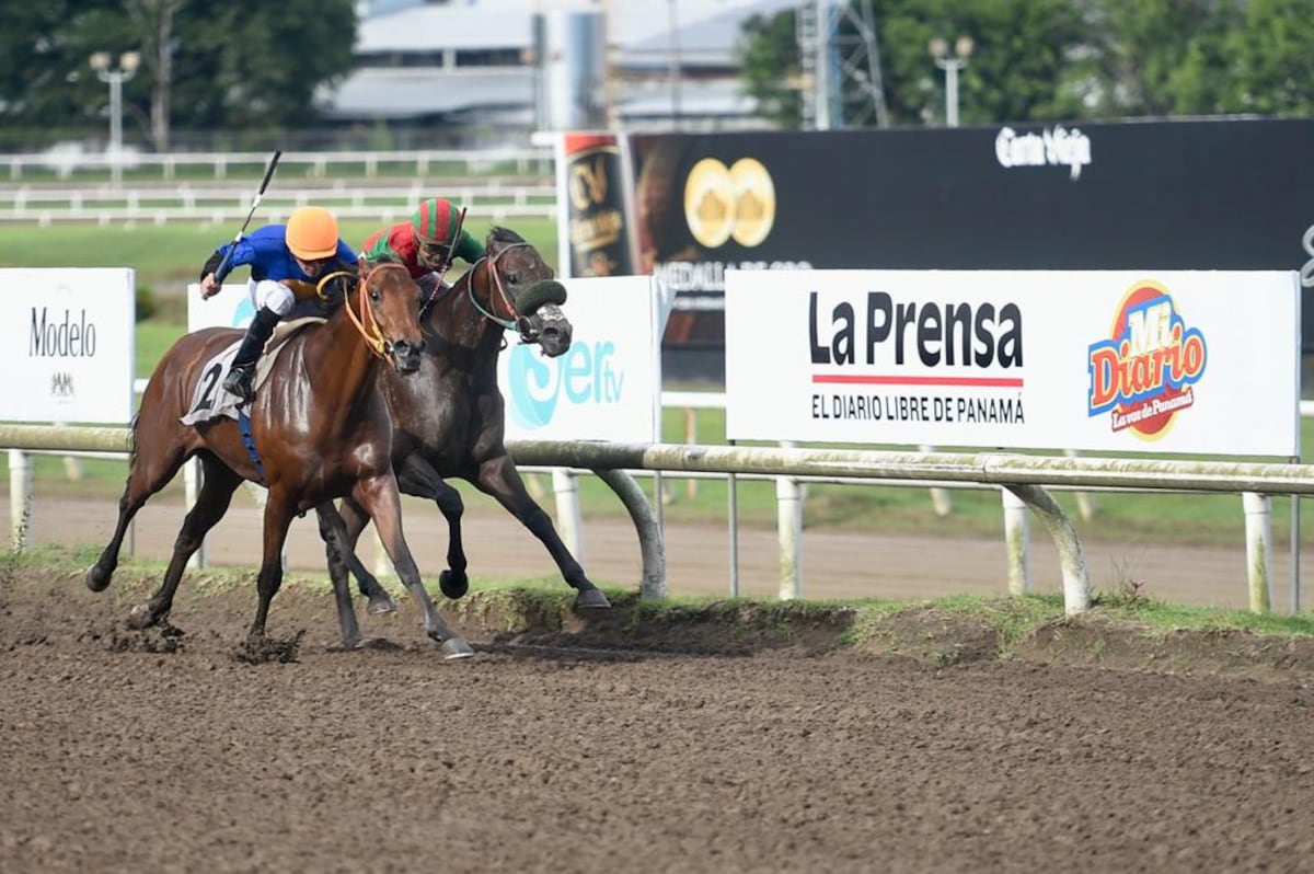 Cerrado final. ‘Mosto Verde’ se apoderó del Handicap La Prensa–Mi Diario