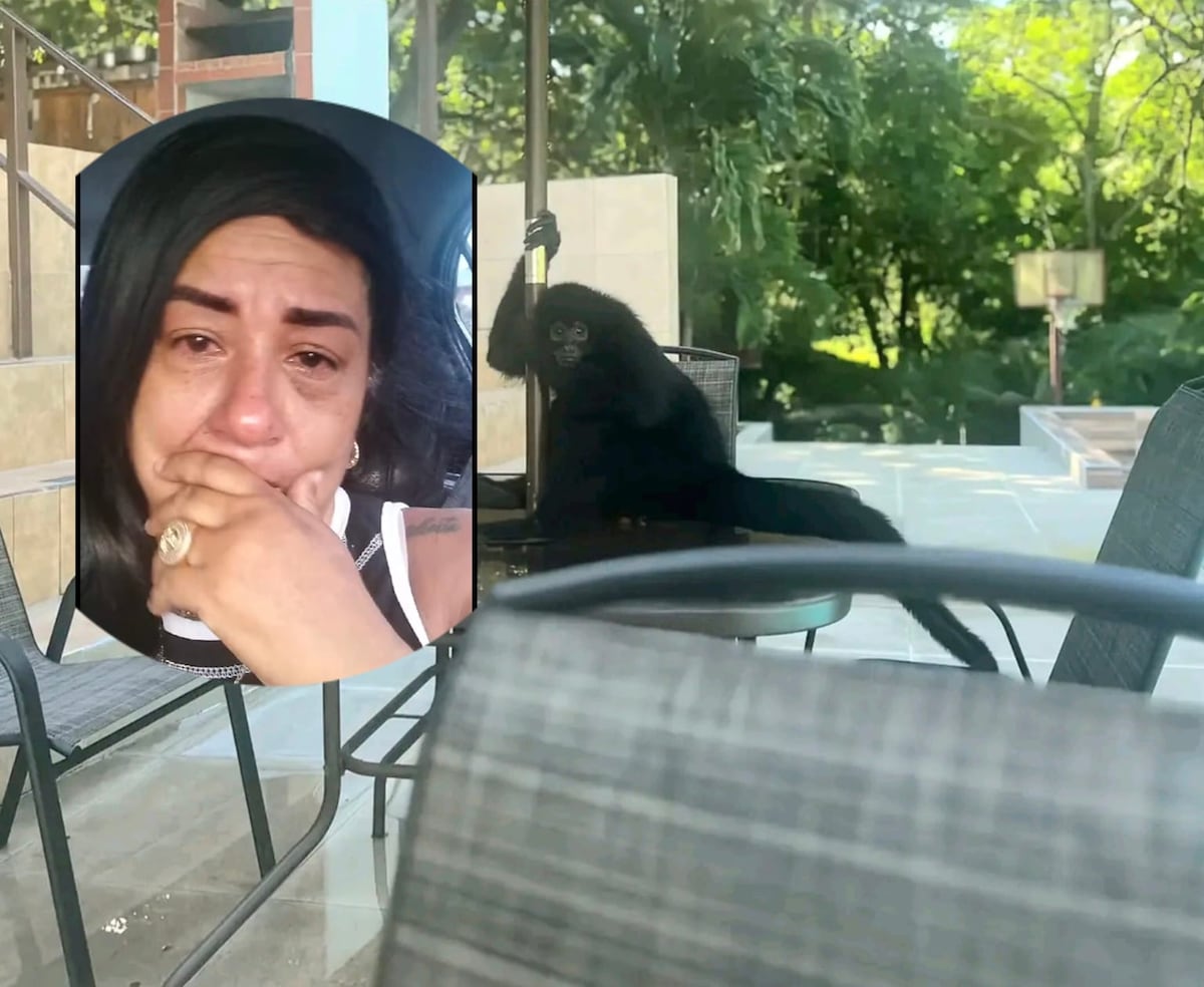 Muere la mona Karol y su familia estalla en redes: ‘Le declaro la guerra a MiAmbiente’