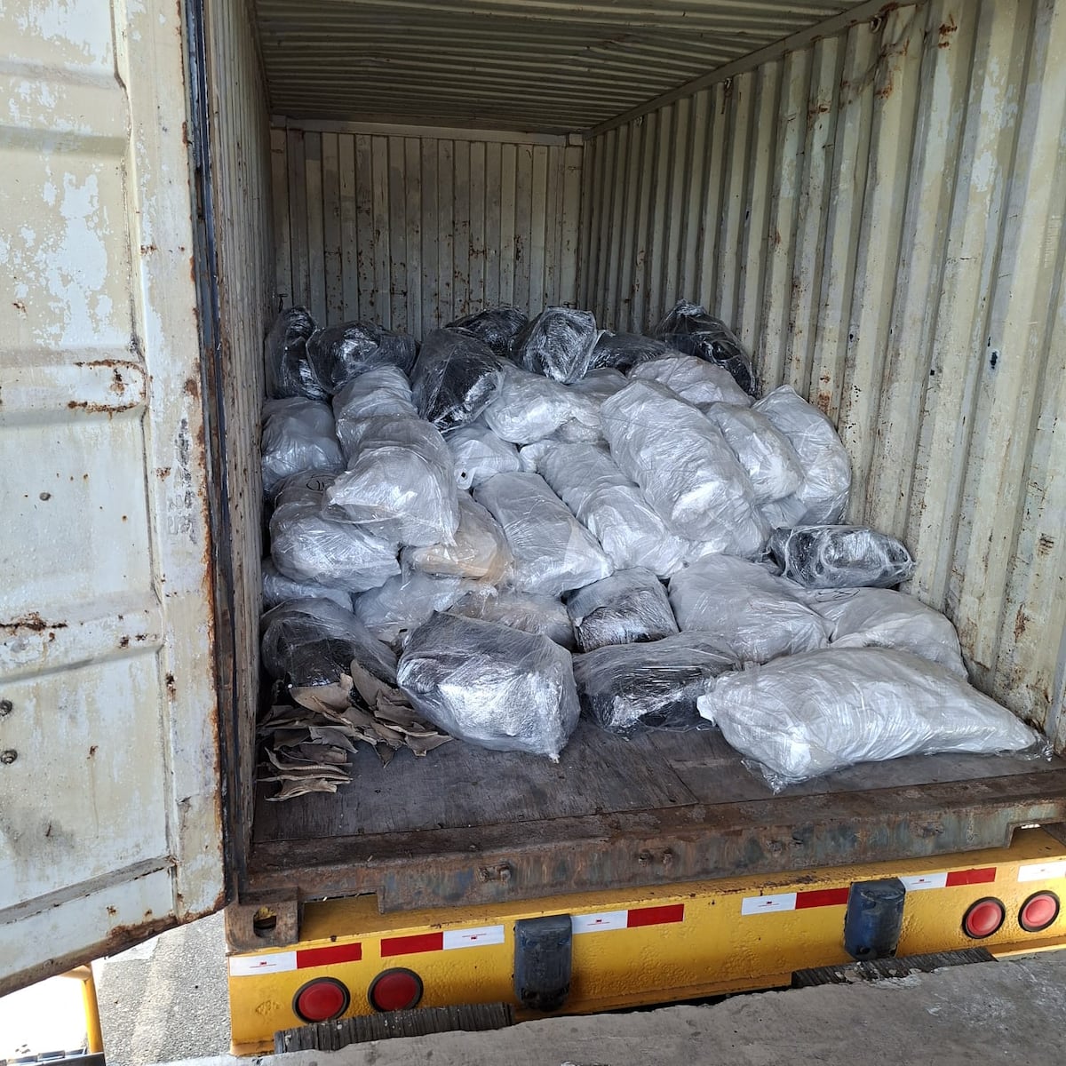 Declararon ‘buche de pescado’, pero encontraron 109 sacos de aletas de tiburón en Colón