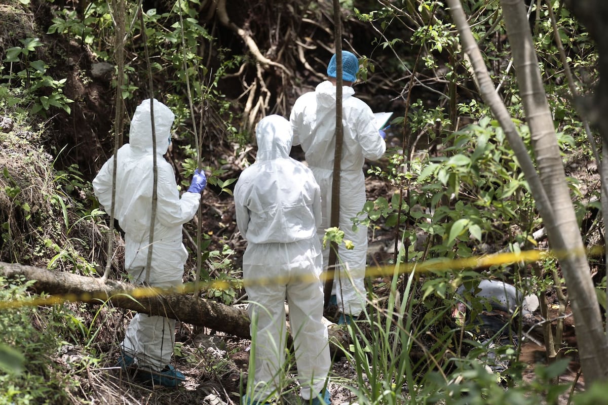 Vía mortal. Corredor Norte se vuelve un botadero de cuerpos
