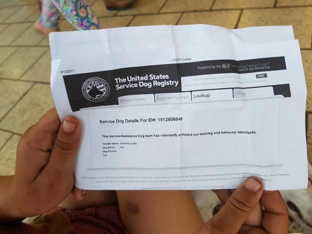 ¡MADRE, SANTA! Tratan de violar a extranjera epiléptica y agreden a su perro