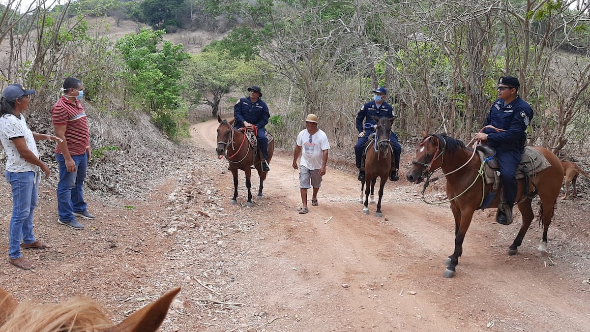 A caballo combaten hurto pecuario en Los Santos