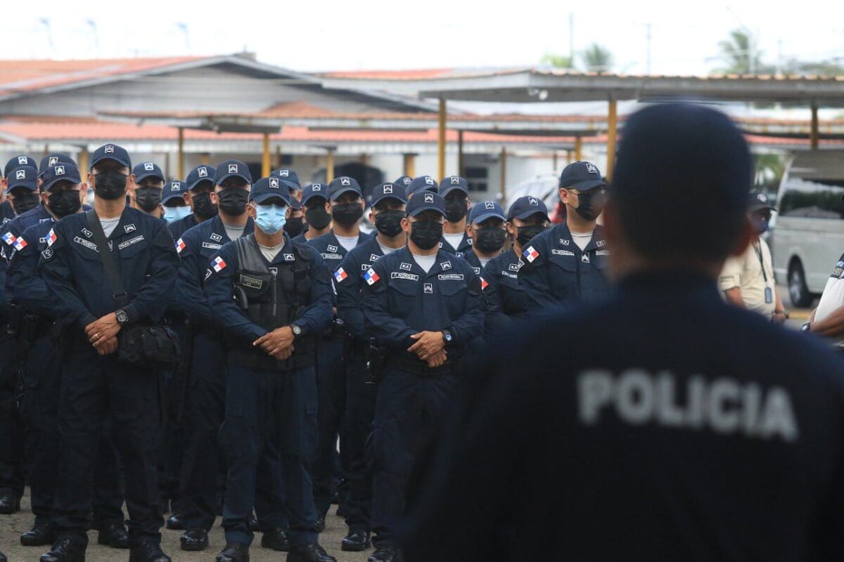 Van 149 aprehendidos mediante la ‘operación Génesis’
