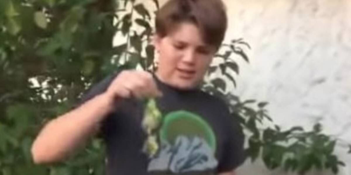 Chimuelo es el video viral que ha provocado la respuesta hasta de Netflix