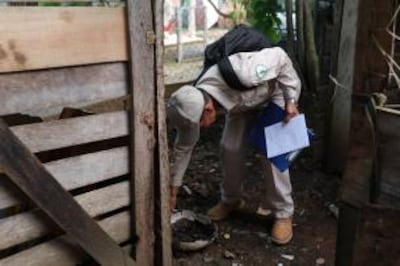 Más de 2.200 casos de dengue en Panamá: Colón con 379 y 7 muertes reportadas