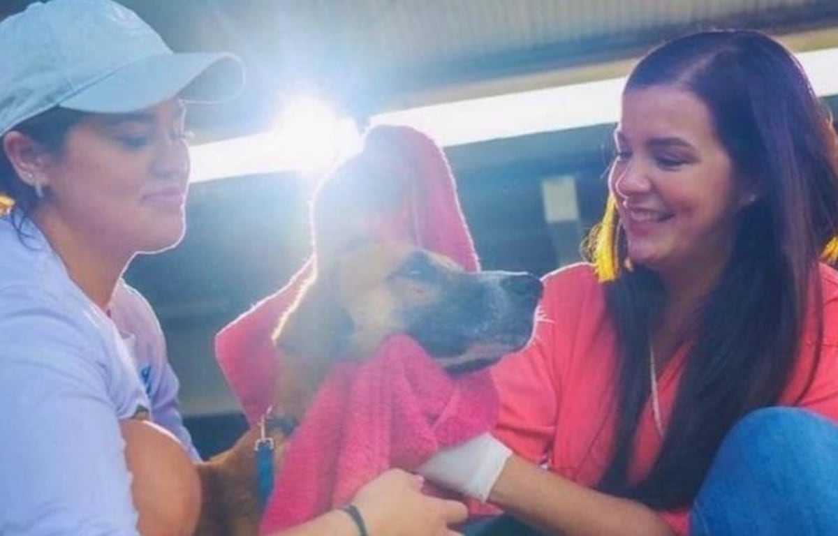 Hija de Judy Meana reacciona. ‘La verdad saldrá a la luz y de una manera u otra habrá justicia’