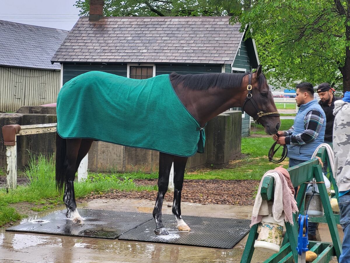 No habrá Triple Corona este año: Sovereignty le dice no al Preakness Stakes