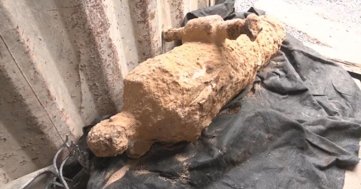 Encuentran cañón histórico del siglo XVII en el Barrio Chino de San Felipe