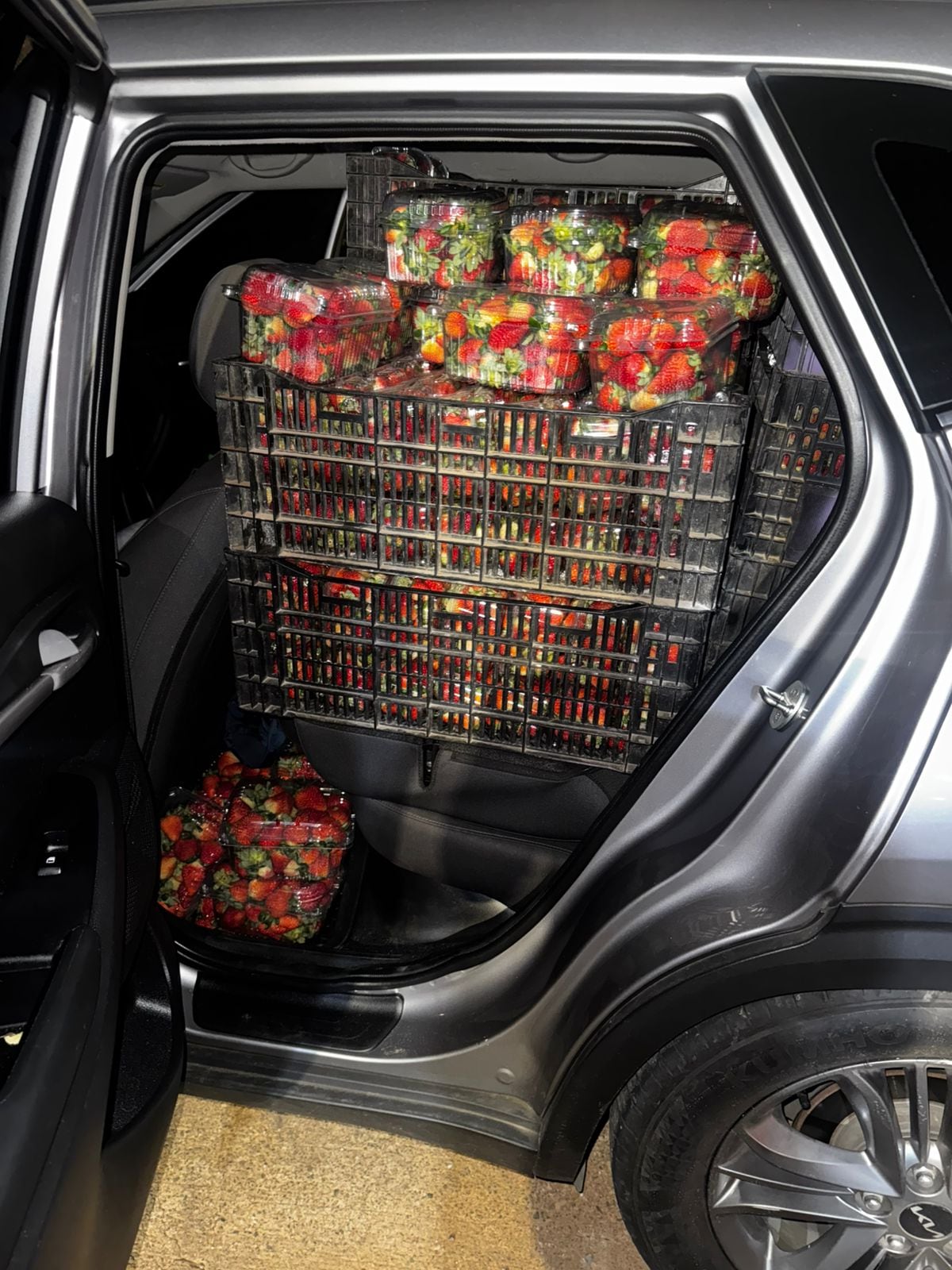 Aduanas investiga presunto contrabando tras retención de fresas en Guabalá