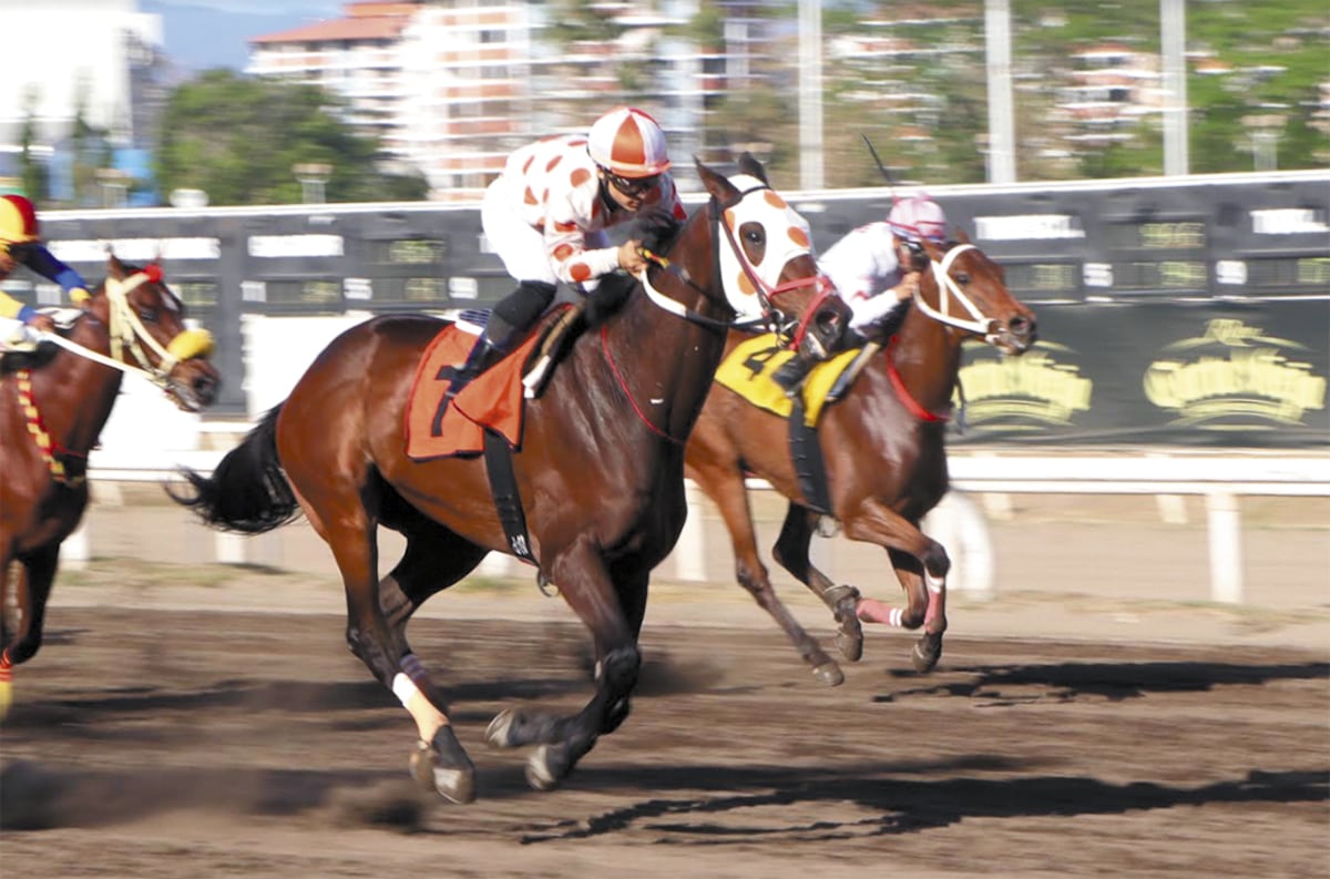 Apuesta por jugosos acumulados y un Clásico de lujo en el Hipódromo Presidente Remón