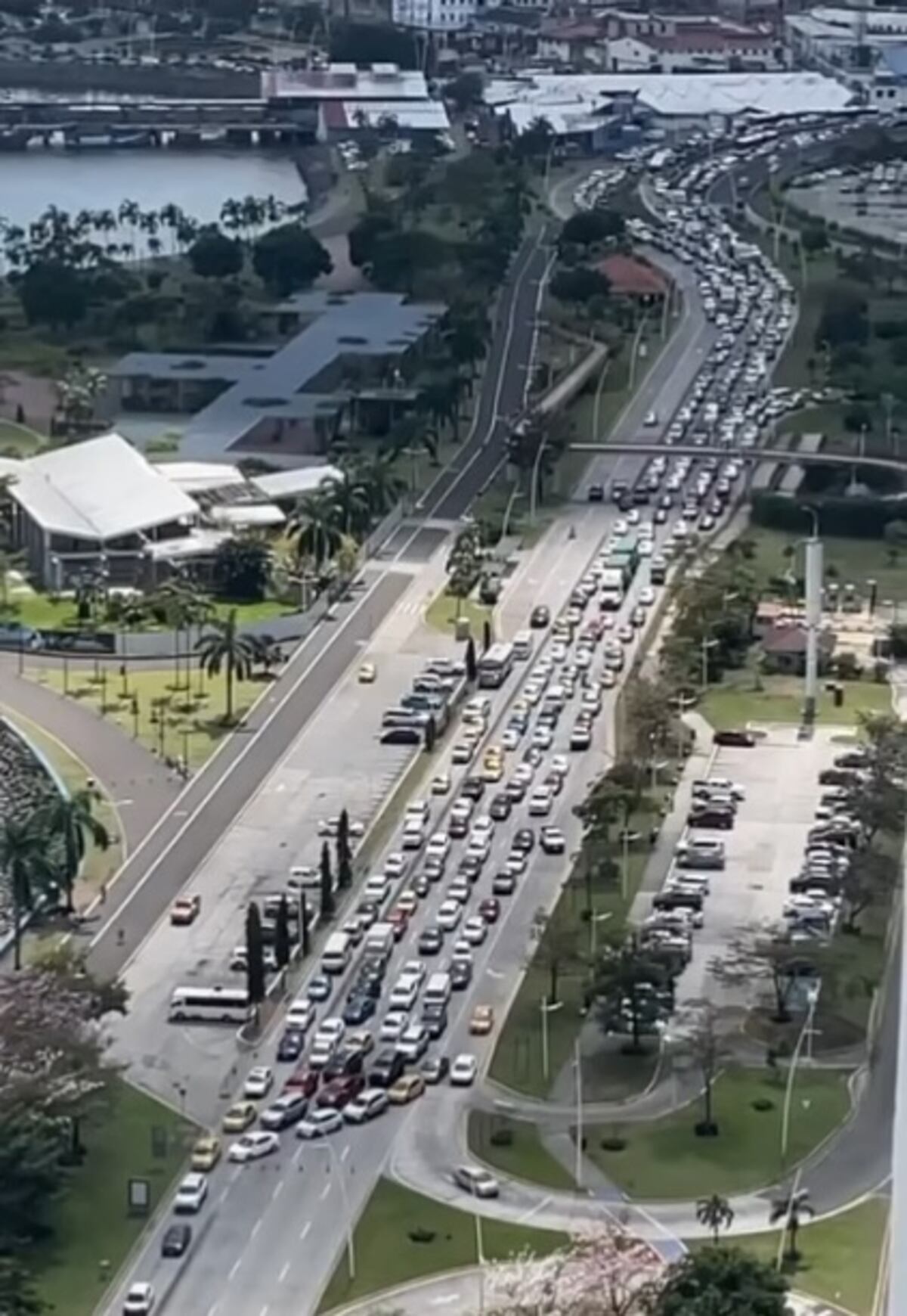 De película. Así fue el rescate de la mujer que amenazaba con lanzarse de un puente en la Cinta Costera. Video
