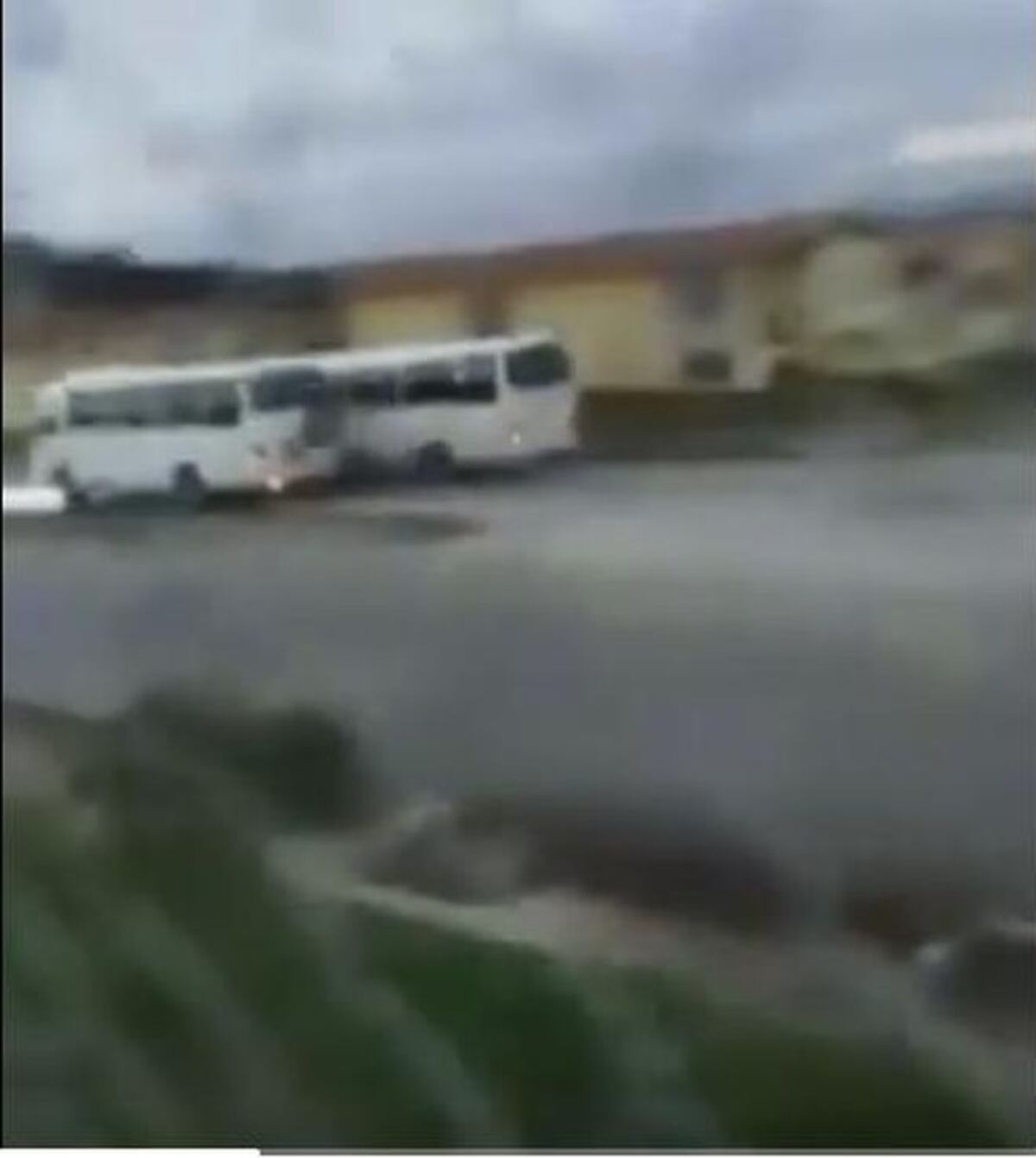 ¡Ay, Dios mío! Pillan a buses en regatas en plena barriada. ¡Asesinos latentes!