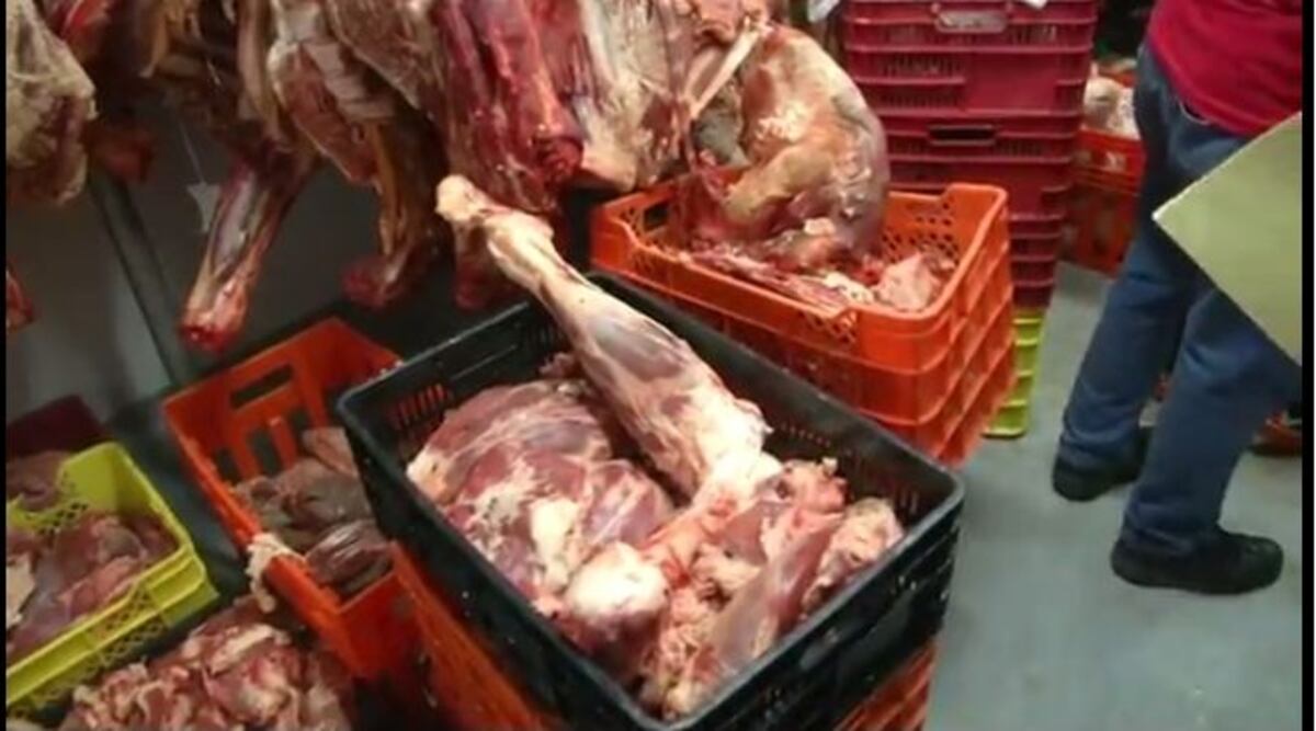 ¡WÁCALA! Decomisan arepas, tortillas y hasta carne vencida