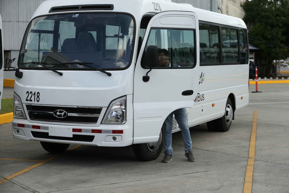 MiBus avanza en la compra de 60 buses medianos para renovar transporte