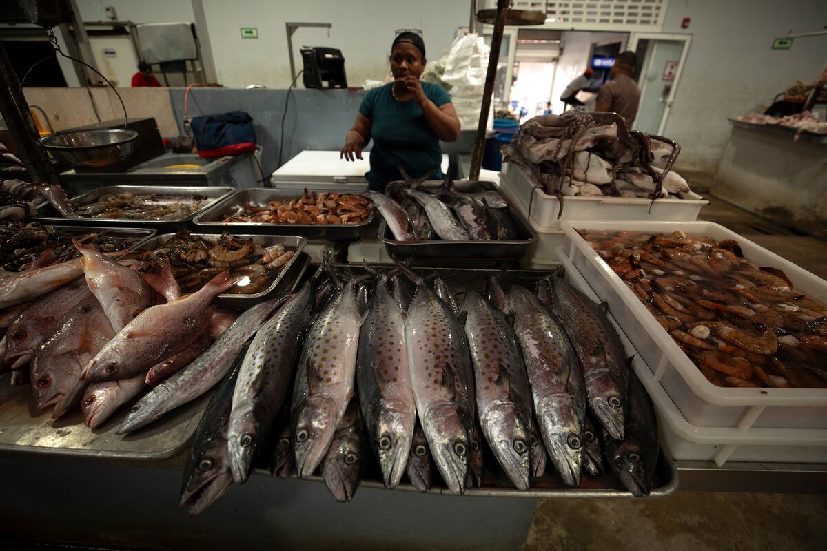 ¡Pescado pa’ to’ el mundo! Mercado de Mariscos se alista para el Viernes Santo