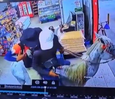 ¡Al estilo de Bonanza! Encapuchados llegaron a caballo y asaltaron minisúper en Antón. Policía agarra a menor y busca hasta al dueño del animal +VIDEO