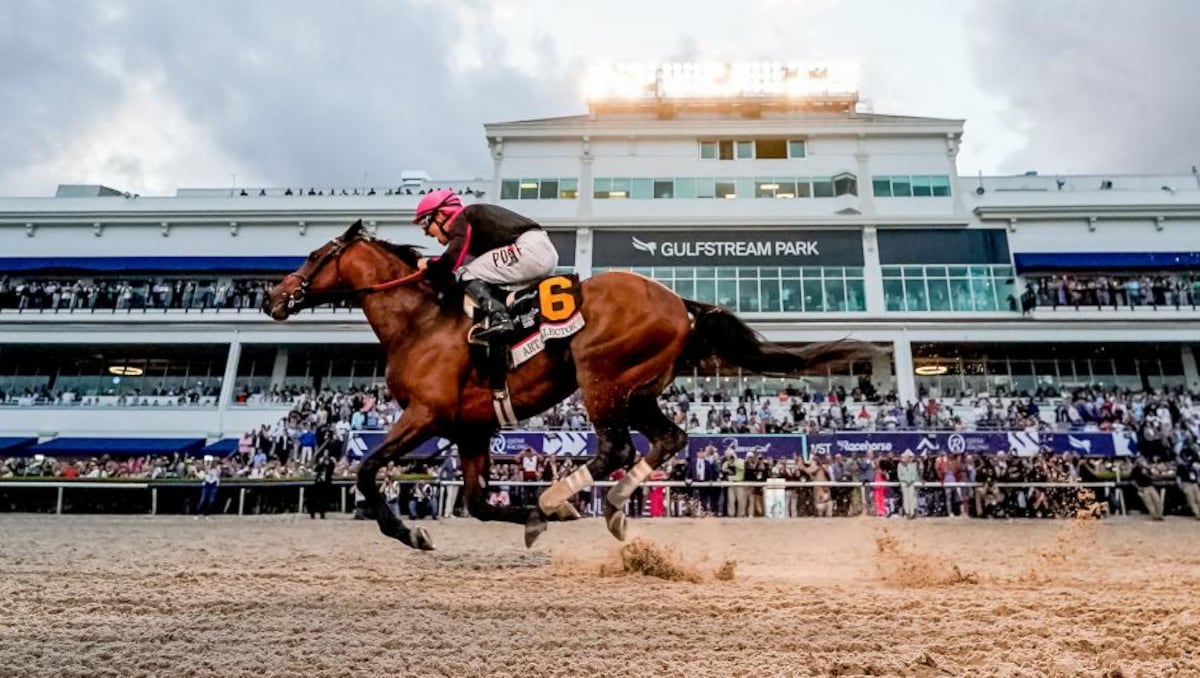 ¡Apuesta por la historia! La Pegasus World Cup 2026 promete grandes sorpresas