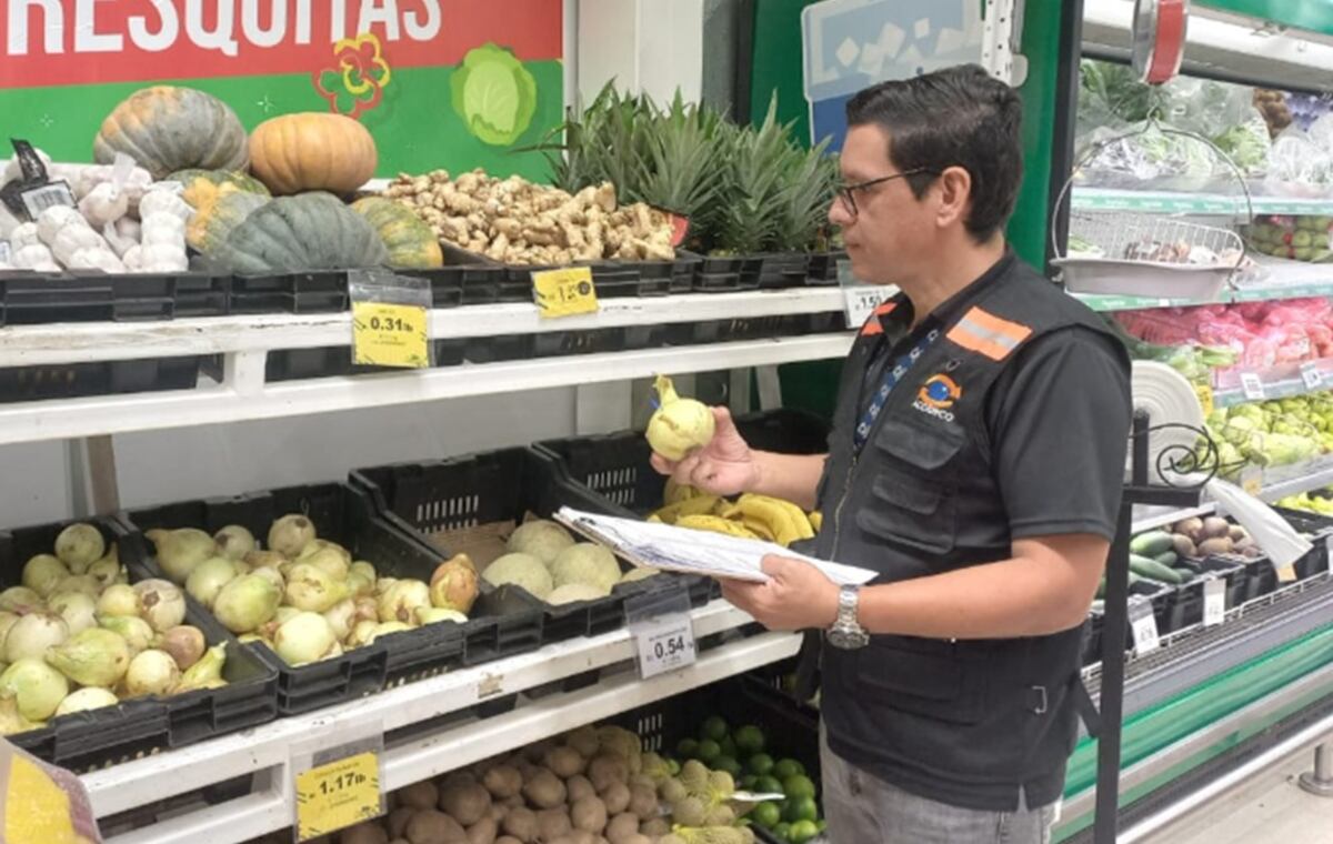 Acodeco pone el ojo en la cebolla ante quejas por escasez en temporada navideña 