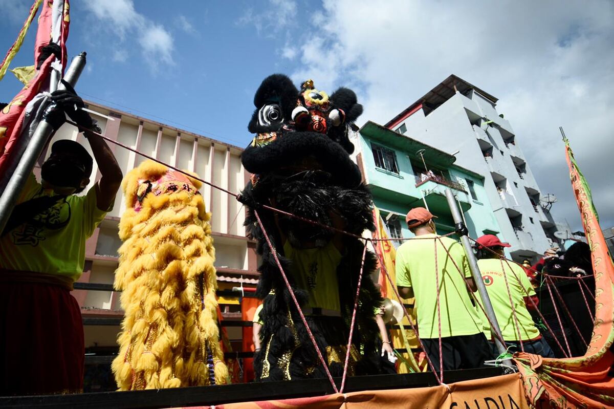 Un año para trabajar duro y alcanzar la prosperidad. Denles la bienvenida al Buey de Metal