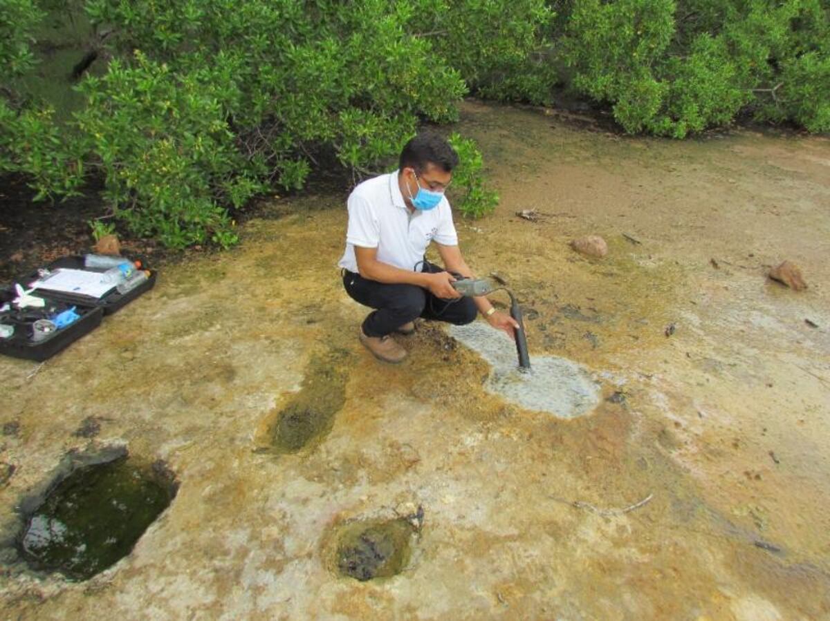 Esperan validar las propiedades curativas de las aguas minerales “Los Pocitos” en Herrera
