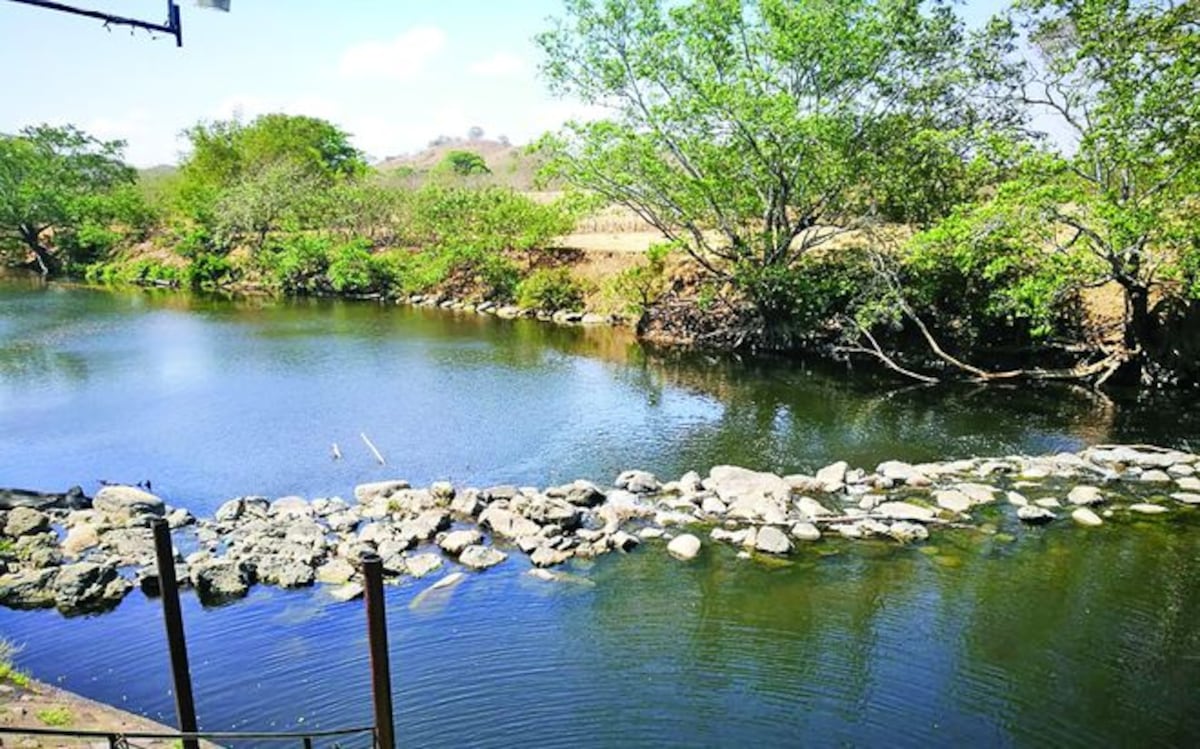 Niveles de los ríos han bajado drásticamente en Azuero