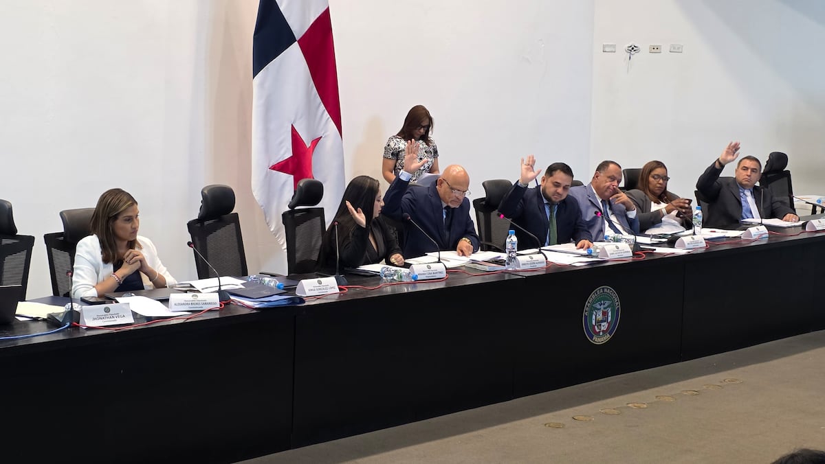 Asamblea da luz verde a proyecto de ley del bioetanol en primer debate