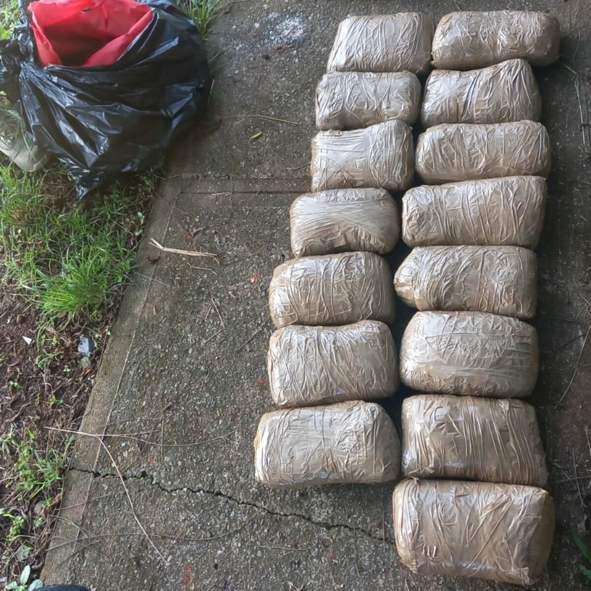 Editorial. Panamá no puede incinerar la droga que incauta y se ve obligada a enviarla a EE.UU.