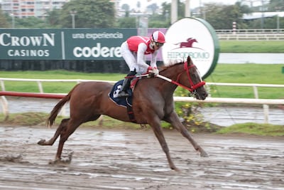 Tres días de carreras de pura candela en el hipódromo