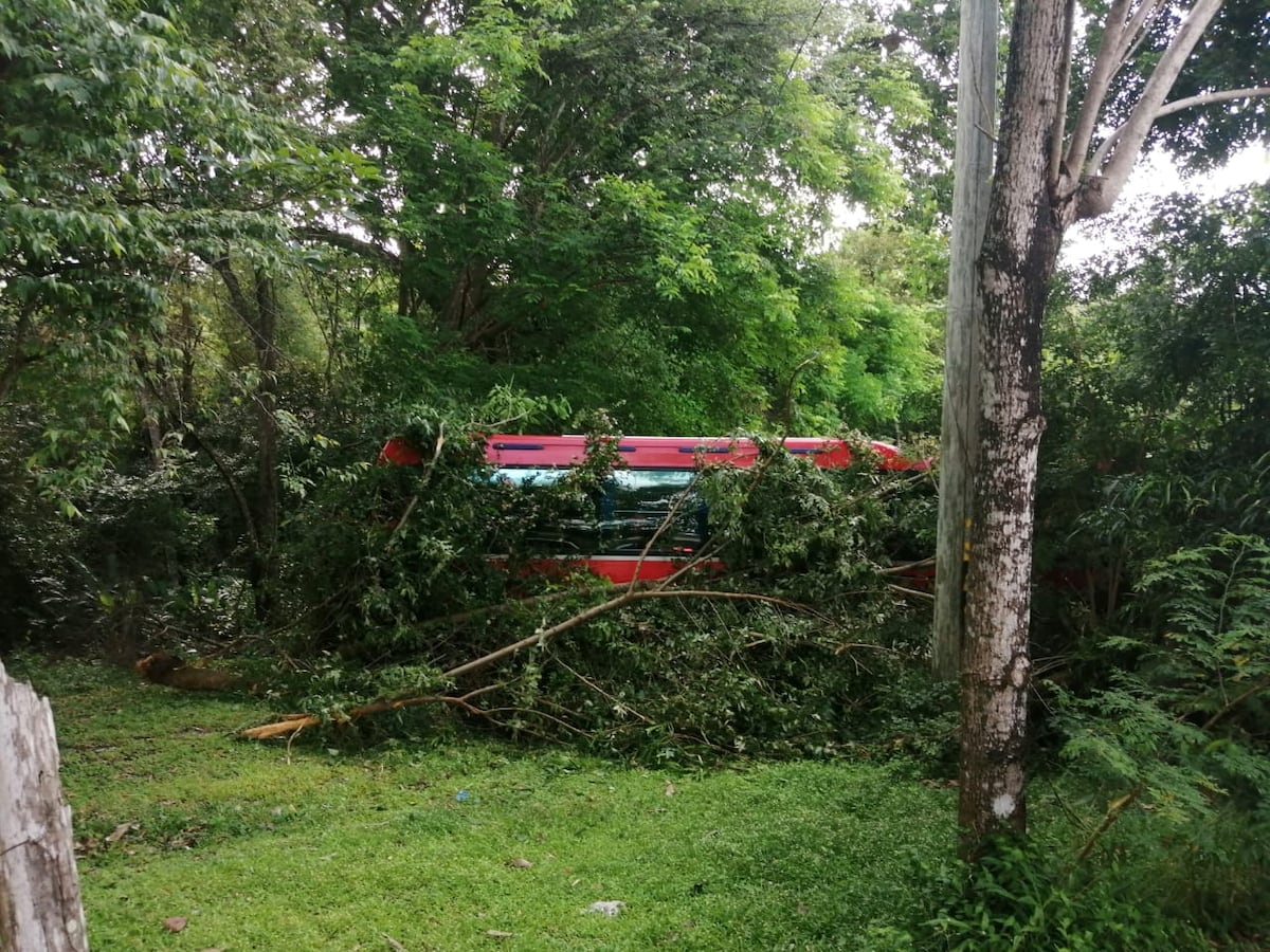 Accidente. Bus de la ruta Aguadulce Panamá se sale de la vía en Panamá Oeste, dejando 5 heridos. Video