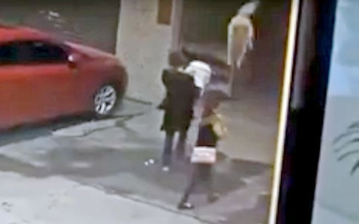 VIDEO: Un perro 'caído del cielo' deja inconsciente a una mujer en plena calle