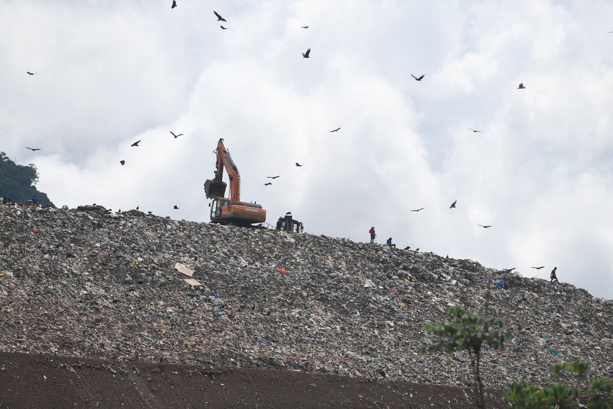 Cadáver entre la basura: Patacón vuelve a oler a muerte