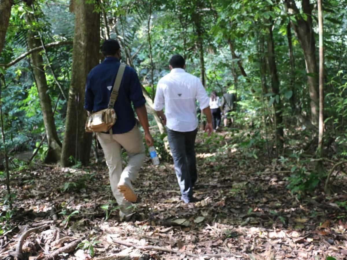 Panamá se encamina a hacer más usos de su patrimonio verde a través de senderos