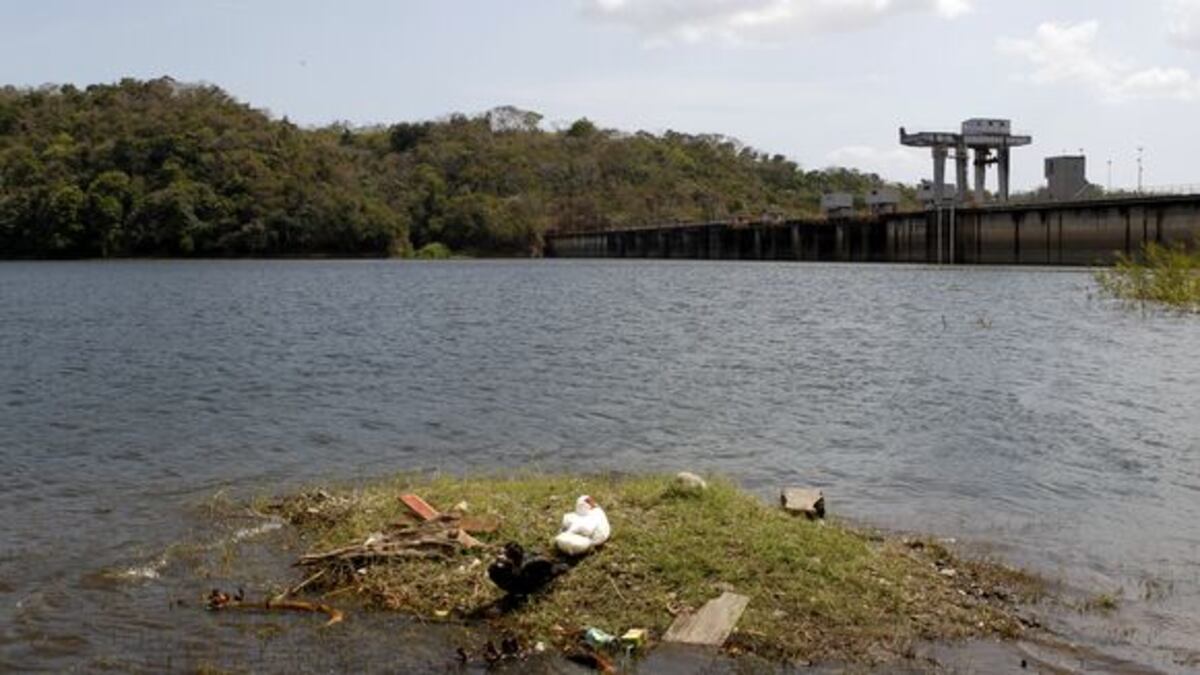 Lagos del Canal mantienen bajo caudal de agua