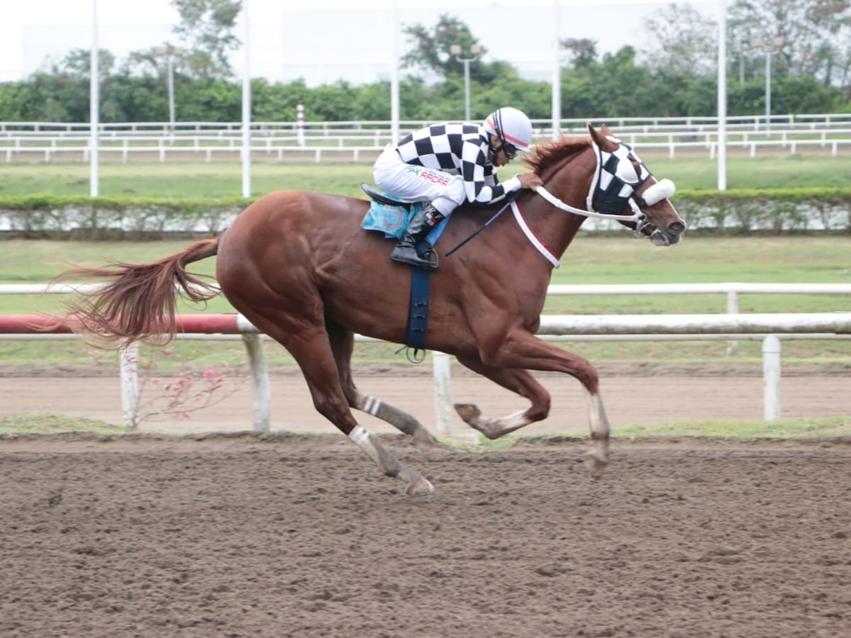 Mandan y se mantienen: los líderes confirman su dominio