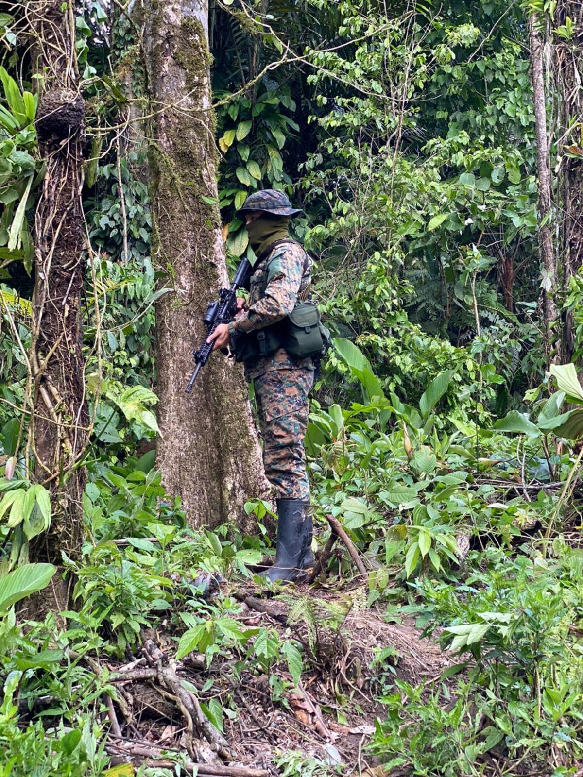 Colombianos son aprehendidos por el Senafront extrayendo oro en Guna Yala 