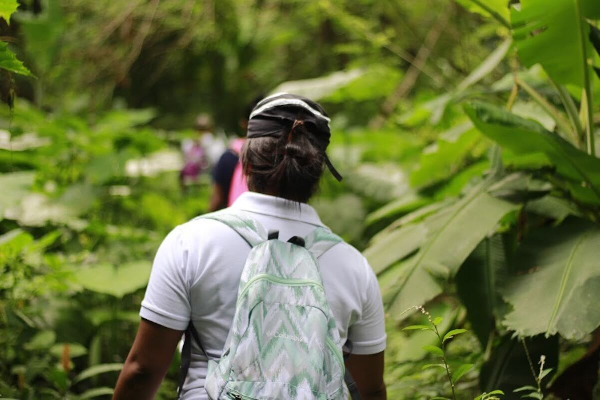 Áreas protegidas de Panamá son refugios y cultivo para naturaleza  