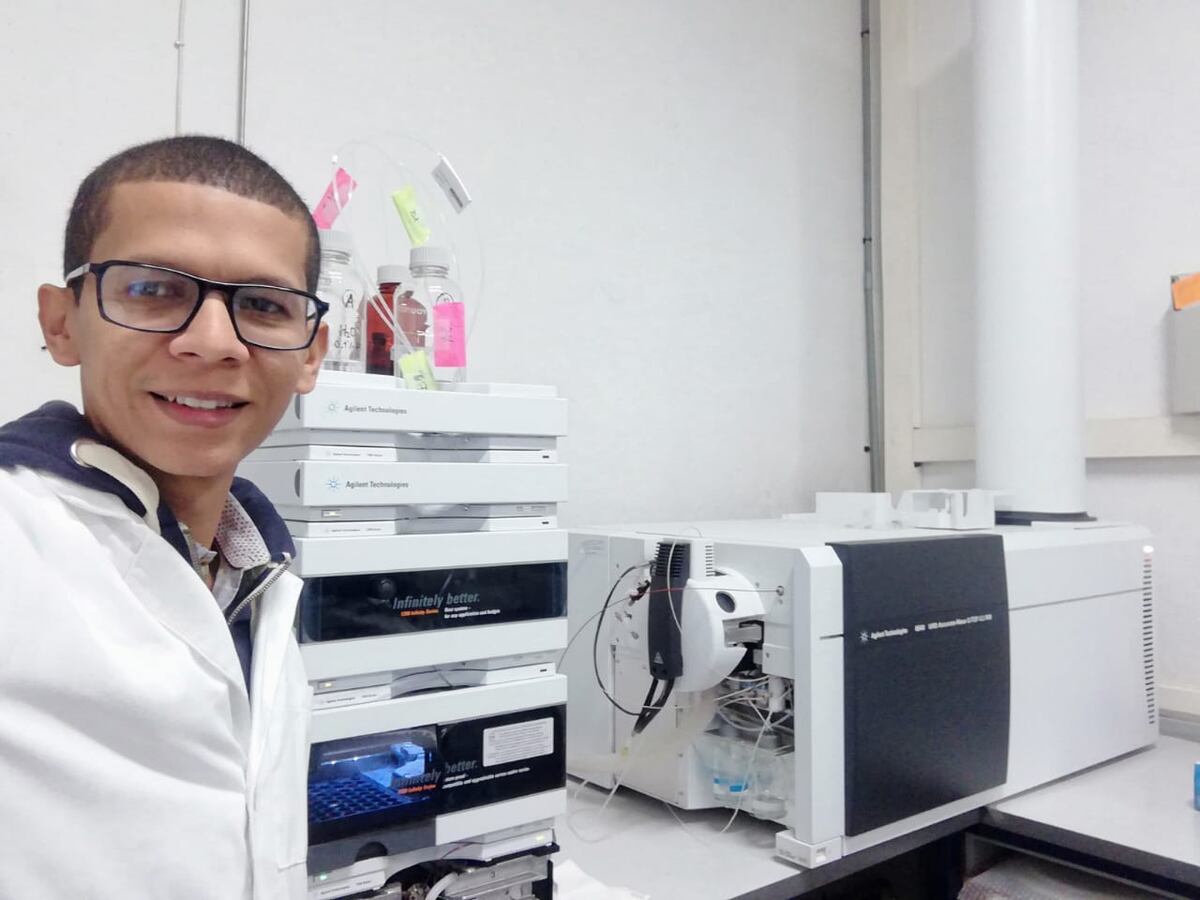 Alimentos nutritivos y saludables. Científicos y docentes discuten proyectos sobre la inocuidad alimentaria en tiempos de pandemia 