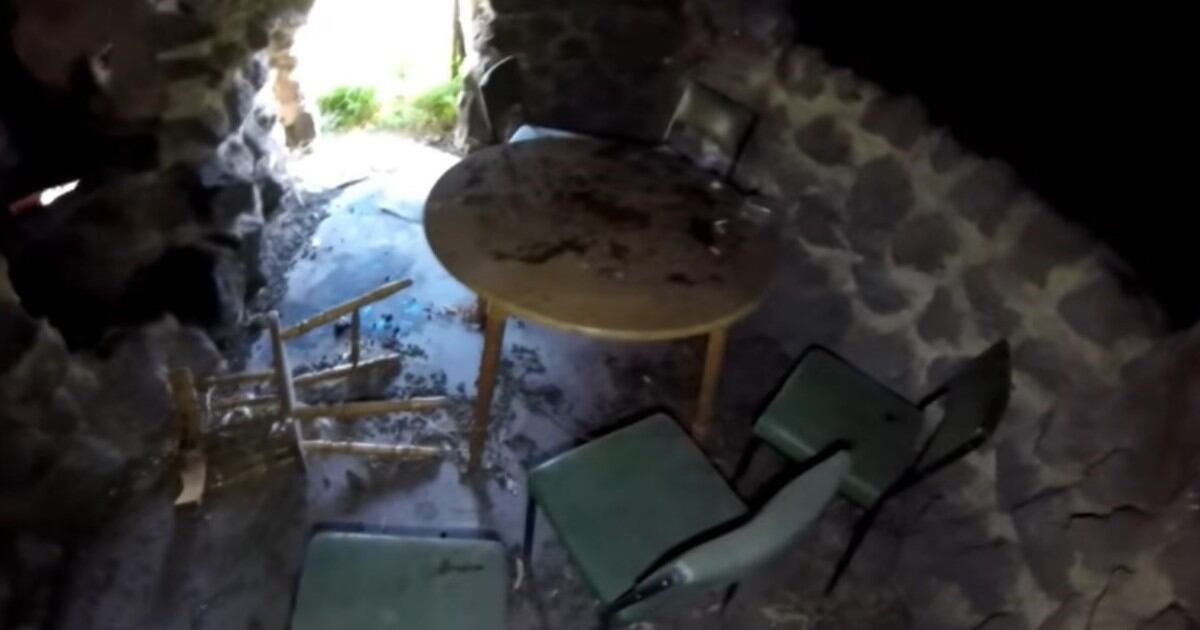 Durante inspección a parque acuático abandonado hallan impresionante criatura