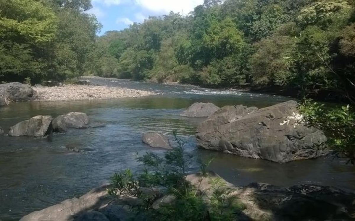 Logran que no se saque agua del río San Pedro, Veraguas
