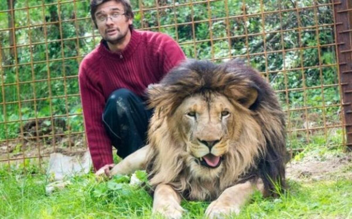 El hombre que murió al ser atacado por un león que criaba en el patio de su casa